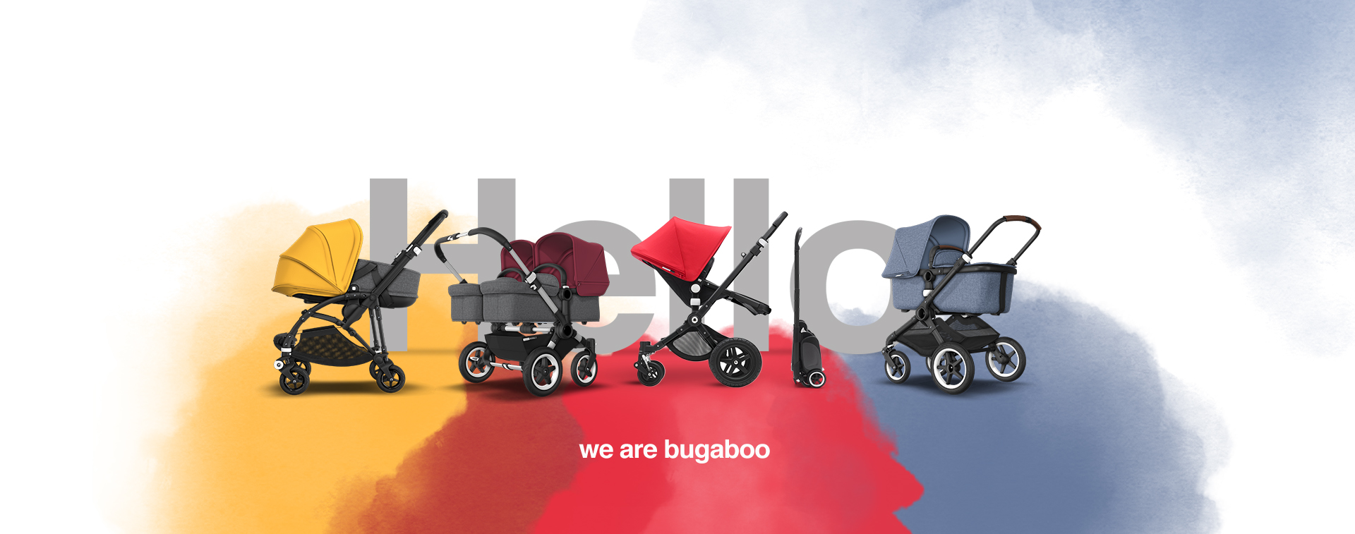 bugaboo distributor